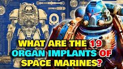 Space Marine Anatomy - What Are The 19 Implants That Every Space Marine Gets? What Is The Gene Seed?