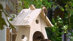 DIY Homemade Wooden Bird House and Bird Feeder