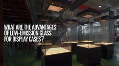 What are the advantages of... - DG Display showcase