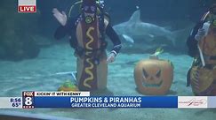 Pumpkins, piranhas & Halloween fun happening at Greater Cleveland Aquarium