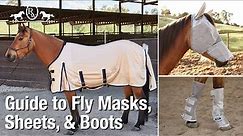 Guide to Horse Fly Masks, Sheets, & Boots