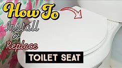 How To Replace Toilet Seat Install Easy Simple