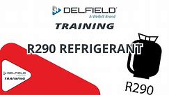 Delfield R290 Training (Section 1/4)