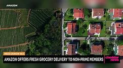 Amazon Offers Fresh Grocery Delivery to Non-Prime Members
