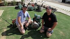 Vintage mowers a cut above the rest for Wagga mates whose restoration obsession benefits local cricket