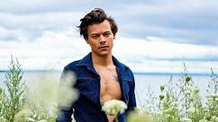 Harry Styles Rolling Stone Interview: The 7 Biggest Revelations