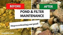 Pond and filter maintenance | DIY