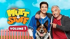 Mutt & Stuff Season 1 Episode 1