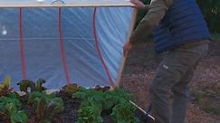 DIY Garden Cold Frame From Hula Hoops