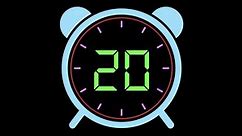20 Second Countdown Timer Digital Animated Stock Footage Video (100% Royalty-free) 1061908390 | Shutterstock