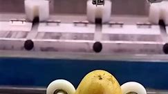 Auto peeler potato machine 🥔😱 !! Potato 🍠🥔🧅🥕🥒🥑🥥🍅 #asmr #fyp #fypシ #fruit #usa #Potato | Fruity Wonderland
