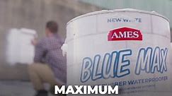 Ames Blue Max 1 Gal. White Basement Waterproofing Sealer Regular Grade BMX1WRG