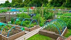 Raised Beds - Pros & Cons