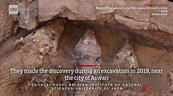See 2,000-year-old mummified crocodiles found in Egyptian tomb