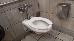 Toilet Flush At Mall