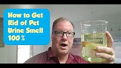 How To Get Rid of Pet Urine Smell