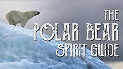 Polar Bear Spirit Guide - Ask the Spirit Guides Oracle, Totem Animal, Power Animal, Magical Crafting