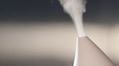 Consumer Reports Asks EPA to Demystify Humidifier Claims