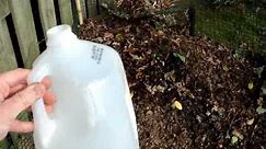 Urine added to Leaf Compost