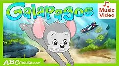 🐢🐧 'Galapagos Adventure': Sing Along and Discover Penguins and Turtles | ABCmouse Search & Explore 🌴