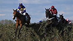 Three well-handicapped horses in the Grand National