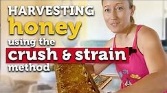 EXTRACTING HONEY W/OUT AN EXTRACTOR Crush & Strain Method | Cheap & Easy Way to Harvest Honey