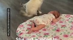 This is the most precious thing I've seen all week! 😍 #cats #animals #baby #pets #babies #cuteanimals #cat #family #wholesome | InspireMore