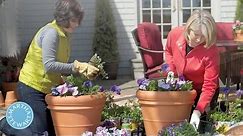 ASK MARTHA Container Gardening - Home How-To Series - Martha Stewart