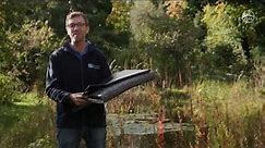 Building a Pond with a Liner | The RSPB