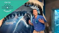 Go on a virtual tour of Florida Aquarium with the penguins! - Tiqets US Awakens Virtual Experience