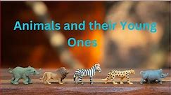 Adorable Animal Babies: Learning about Young Ones for Kids| PreSchool | Kids Learning| Baby Animals|