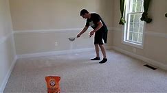 Remove pet odors from your carpet using baking soda