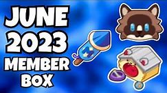 Prodigy Math Game | *NEW* June 2023 Member Box Opening!