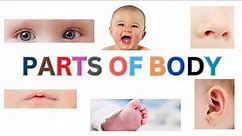 Explore Body Parts: Fun Learning with Images for Kids | Educational Video