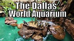 Dallas World Aquarium Virtual Tour