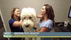 Dr. Kevin Smith has tips to keep pets healthy