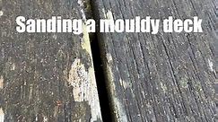 Sanding a mouldy deck! This client wanted to get rid of all the mould and dirt built up on their beautiful timber Merbau deck which was hiding underneath. Started with 36grit sandpaper and then moved onto 60grit. Just look at that colour come to life! #deck #decking #decks #deckrestoration #deckmaintenance #timberdecking #timberdeck #fyp #tradie #tradiesoftiktok #merbau #merbauwood #merbaudecking #galaxyfloorsander #sandpaper #decksanding #woodendeck #hardwood #hardwooddeck #hardwooddecking