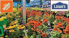 Home Depot & Lowes Garden Center Inventory July 2022. Coneflowers, Rose of Sharon, Allium, Anemone!