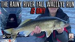 How To Fish the Rainy River For Walleyes in the Fall