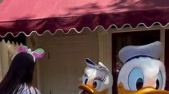 Funniest interaction I’ve had with Daisy and Donald Duck. Daisy was jealous but she knows I love her! 🤣😍🦆♥️ #donaldduck #daisyduck #patodonald #disneycharacter #disneyparks #disneytiktok #disneyland #disneylove #disneymagic
