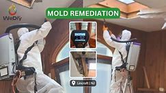 Mold Remediation: Restoring Safety to Your Home