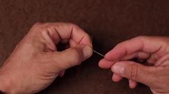 How to Tie a Blood Knot Tying? Tips & Step-By-Step Instructions