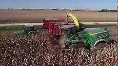 JOHN DEERE Forage Harvester Opening a Corn Field