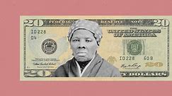 Descendant of Harriet Tubman: This smacks of racism