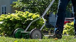 10 Best Lawn Mowers for Small Yards
