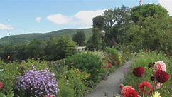 'Bridge of Flowers' in Shelburne Falls to close to visitors in 2024