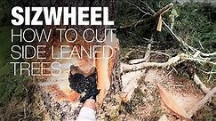 How To Cut a Leaning Tree With a Sizwheel