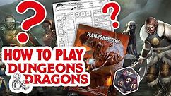 HOW TO PLAY DUNGEONS & DRAGONS - A beginners guide to D&D