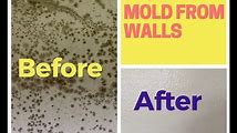 DIY Mold Removal: How to Clean and Kill Mold on Walls