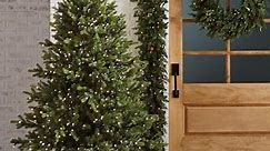 5 Expert Tips for Decorating an Outdoor Christmas Tree